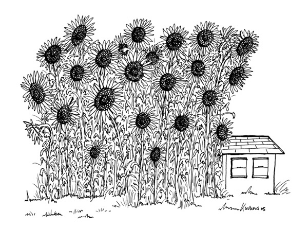 3.flowerhouse
