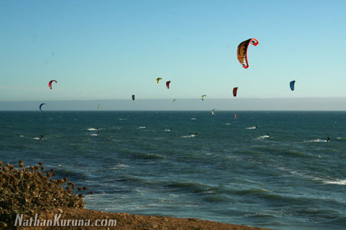 42_kuruna_photos-42