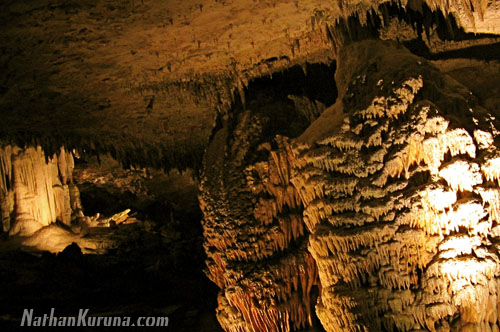 43_kuruna_photos-43