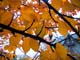 28_kuruna_photos-28