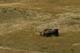 44_kuruna_photos-44