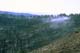 46_kuruna_photos-46
